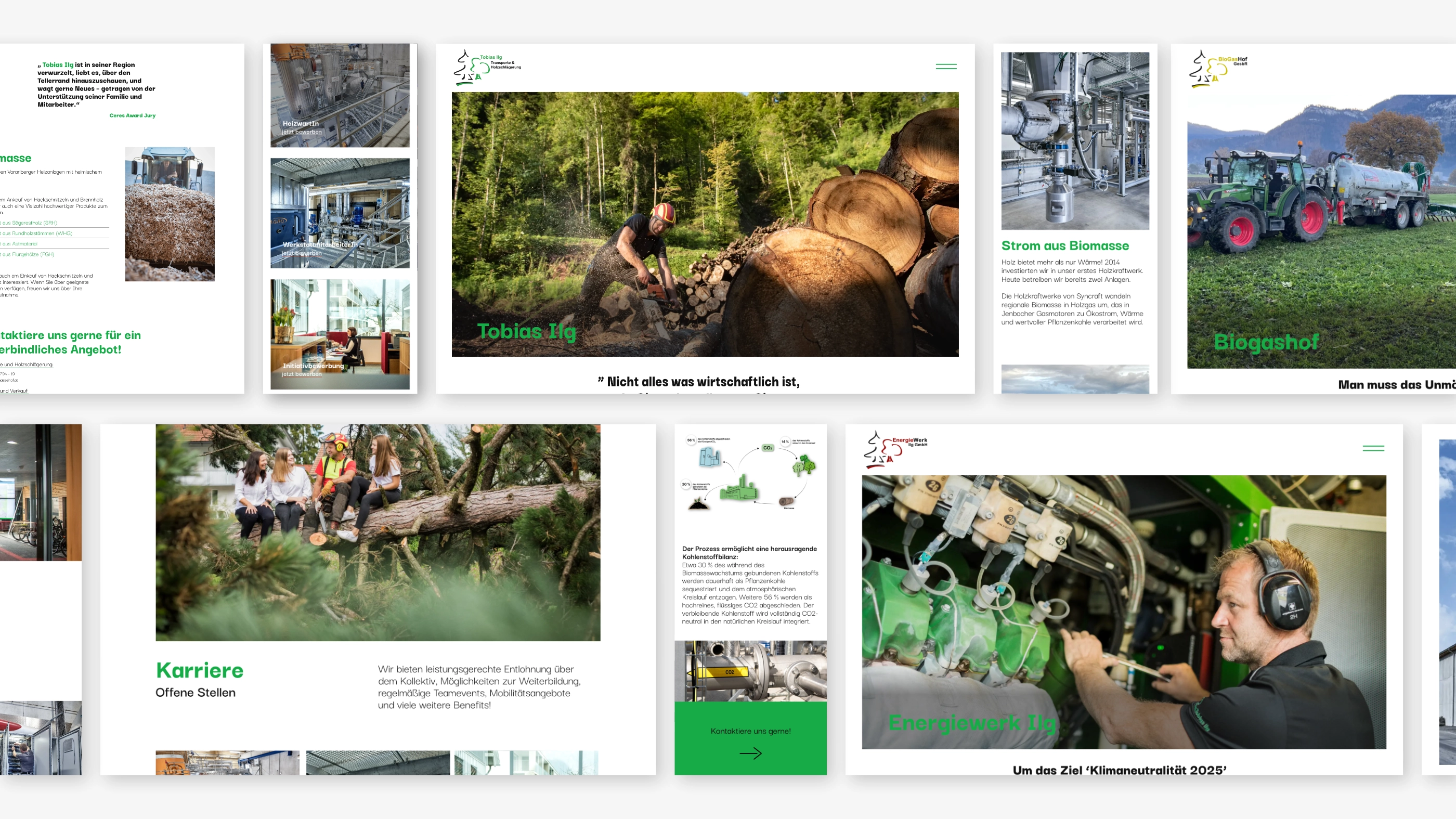 biomassehof-ilg Dornbirn Website