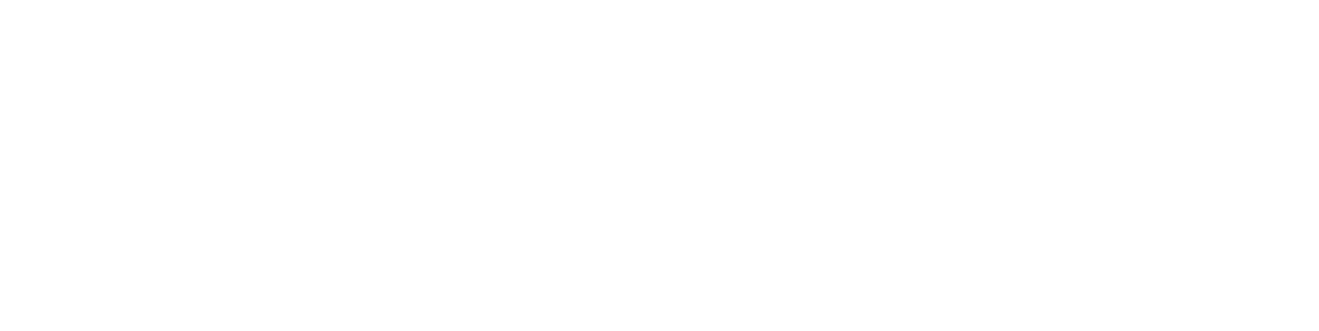 lingenhoele-technologie Feldkirch Social Media