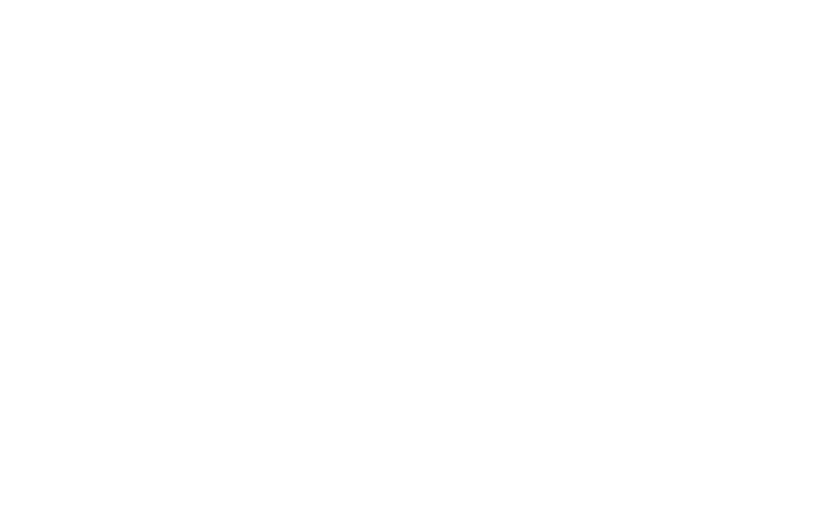Lustenauer Senf Website